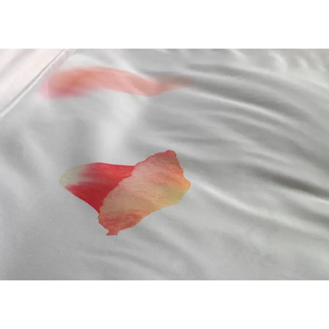 Heckett & Lane Sonja Dekbedovertrek 200x200x220 Multi