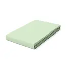 Schlafgut Schlafgut Drap-housse en pur Jersey L - 140x200 - 160x220 643 Green Light