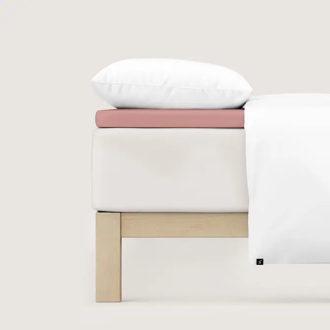 Schlafgut Pure Jersey Topper Fitted Sheet XL - 180x200 - 200x220 154 Purple Mid