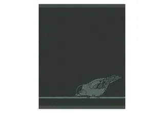 DDDDD keukendoek birdy 50x55 green