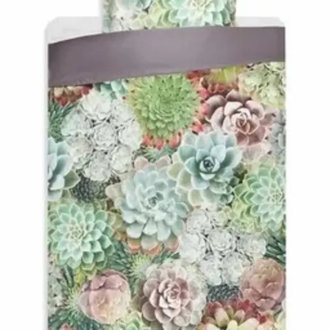 Vandyck Dekbedovertrek Succulent Plants multi 140x220