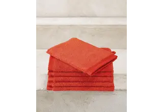 De Witte Lietaer flanelle Excellence 16x22 orange brûlé