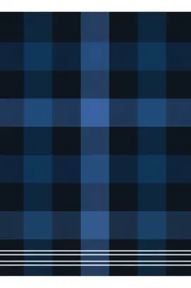 DDDDD theedoek feller  60x65 blue