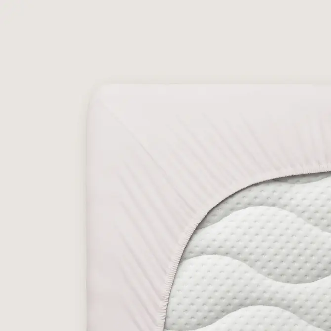 Schlafgut Drap-housse en jersey pur S - 90x190 - 100x220 744 Sand Light