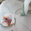 Heckett & Lane Heckett & Lane Botanico Housse de Couette 200x200/220 Vert