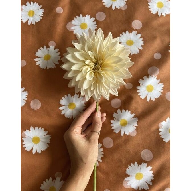 Covers & Co Oopsie Daisy Housse de Couette Hazel 200x200x220