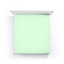 Bella Donna Bella Donna Drap-housse Jersey Lits-jumeaux XL menthe-0524 200/220-200/240