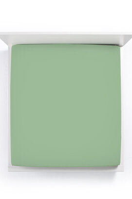 Bella Donna Drap-housse Jersey Deux personnes olive-0533 140/190-160/220