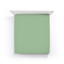 Bella Donna Bella Donna Drap-housse Jersey Petit lit double olive-0533 120/190-130/220