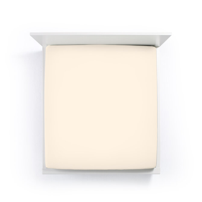 Bella Donna Drap-housse Jersey Lits-jumeaux XL poudre-0110 200/220-200/240