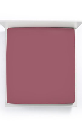 Bella Donna Drap-housse Jersey Deux personnes rose vintage-0567 140/190-160/220