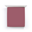 Bella Donna Bella Donna Drap-housse Jersey Lit une place et demie vintage rose-0567 120/190-130/220
