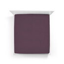 Bella Donna Bella Donna Drap-housse Jersey Lits-jumeaux XL violet-0546 200/220-200/240