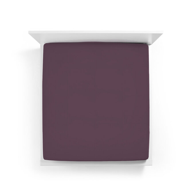 Bella Donna Drap-housse Jersey Lits-jumeaux XL violet-0546 200/220-200/240