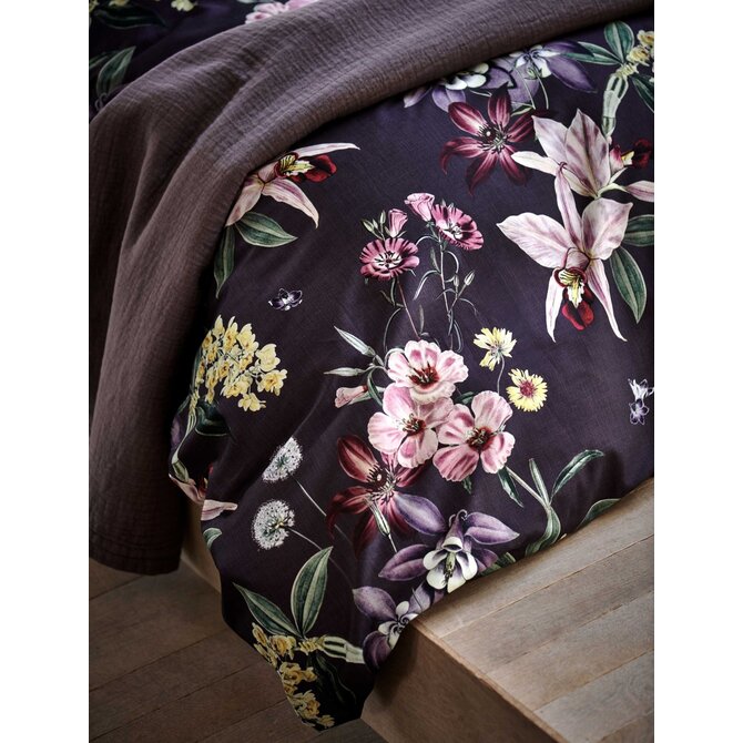 Vandyck Noir Garden Taie d'Oreiller (60x70) multi Vandyck Noir Garden Taie d'Oreiller (60x70) multi