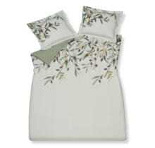 Vandyck Olive 2-persoons (200x200/220) multi