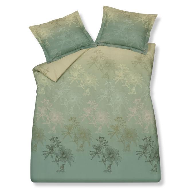 Vandyck Green Gift Taie d'oreiller (60x70) vert fumé