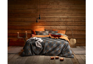 De Witte Lietaer Frostine Honey 140X200/220