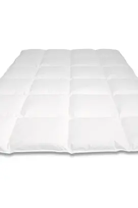 Nightkiss 90% duvet en plumes d'oie UE 200x220 Printemps/Automne - 830 grammes
