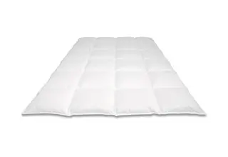 Nightkiss 90% duvet en plumes d'oie EU 240x220 Printemps/Automne - 1000 grammes