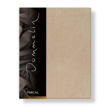 Drap-housse Uni Satin 300TC 549 Café 100x200/30