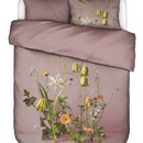 Essenza Essenza Ficaria Housse de couette 140x200/220 Woodrose