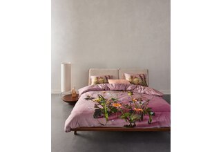Essenza Ficaria Housse de couette 200x200/220 Woodrose