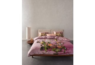 Essenza Ficaria Housse de couette 240x200/220 Woodrose