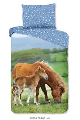 Bonjour les enfants Housse de couette n°31123 Cheval avec poulain multi 140x200/220