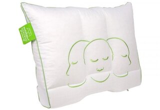 Oreiller Silvana Larimar Vert 50x70