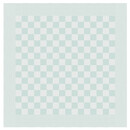 DDDDD DDDDD Theedoek Barbeque 60x65 Pastel Groen