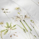 Marjolein Bastin Marjolein Bastin Amaryllis dekbedovertrek 200x200/220 Wit