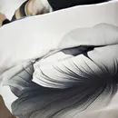 Vandyck Vandyck Saffira housse de couette 240x200/220 Crème Sable