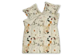 Vandyck Ivoire Bliss taie d'oreiller 60x70 Crème Brun clair