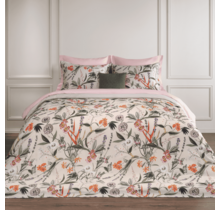 Dommelin Ensemble housse de couette Silvestre Satin 400tc Coquillage 240x200/220 cm