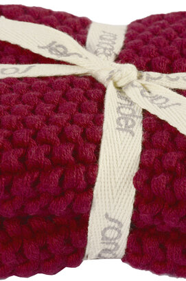 Sander pannenlappen 2 stuks Allstars 22x22 Fb. 01 - Red