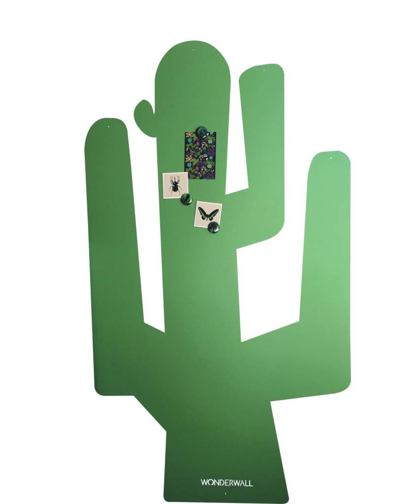 Board CACTUS XXL Wonderwall boards