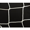 Hockeynet Ballenvangnet