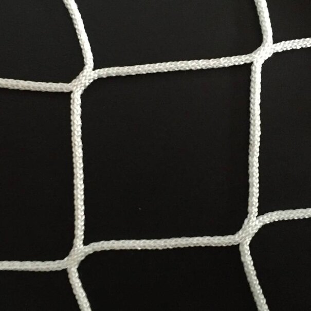 Hockeynet Ballenvangnet