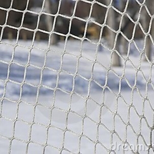 Hockeynet Ballenvangnet