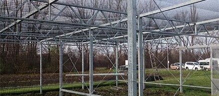 Tuinnet 