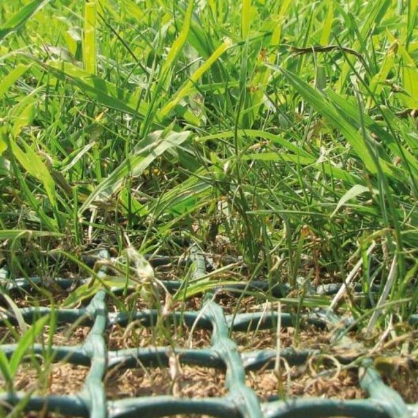 Hoogwaardige PE grasbescherming