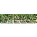 Hoogwaardige PE grasbescherming