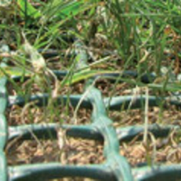 Hoogwaardige PE grasbescherming