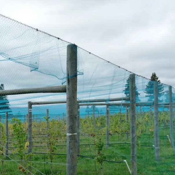 Knooploos tuinnet - 22mm 8x8 blauw