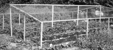 Tuinbouw netten