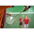 Badminton net