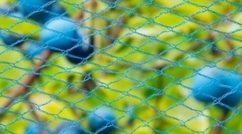 Hoe moet je een vogelnet spannen?