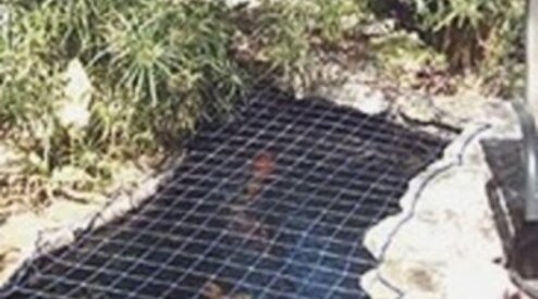 Een vijvernet kopen? Dit is belangrijk! 