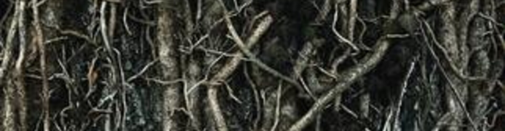 Wanneer gebruik je worteldoek? 